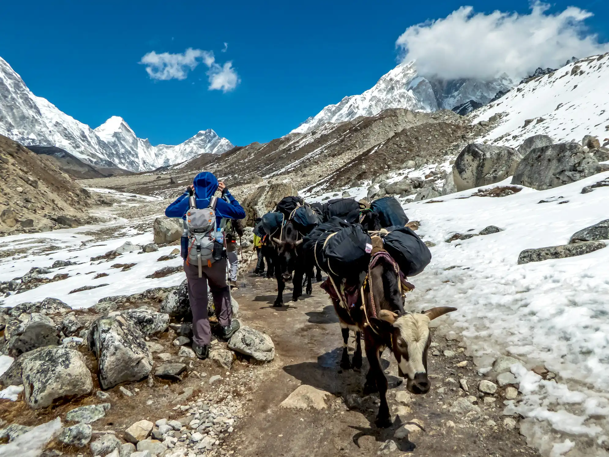 Trekking