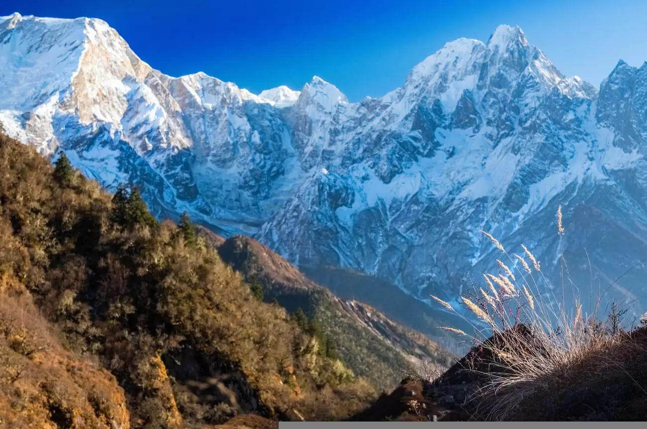 Larkya Pass on the Manaslu Circuit trek